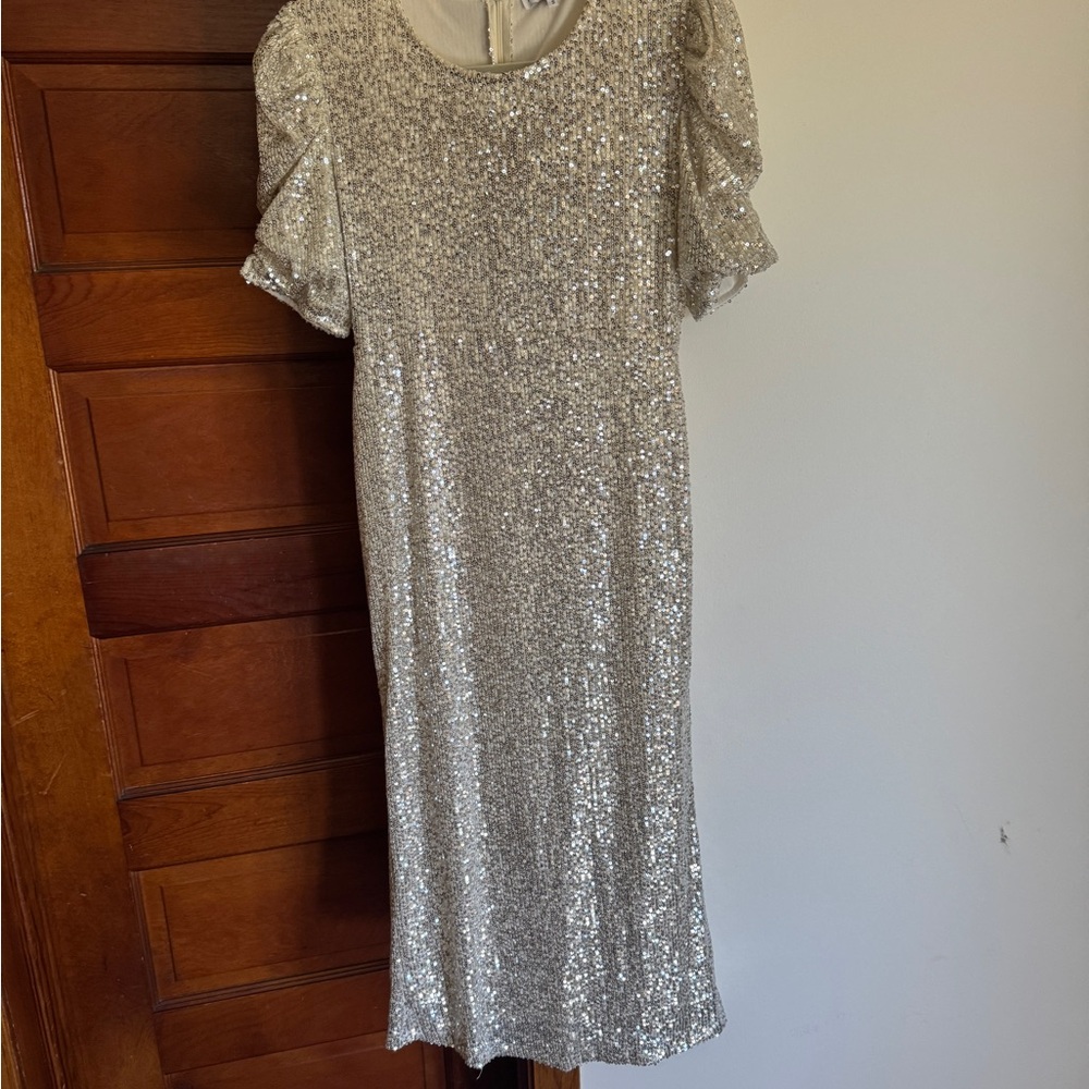 Ivy City Co Silver Sequin Midi Dress